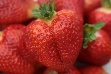red strawberry background