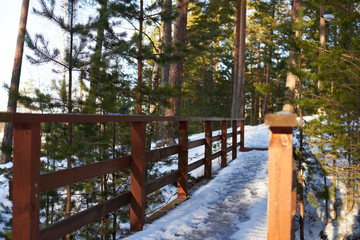 Wooden bridge across mountain river in the forest in winter sunny day. Footpath. Walking trail between high trees.
