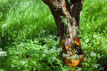 guitar on picnic in park