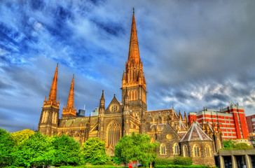 Fototapeta na wymiar St Patrick's Cathedral in Melbourne, Australia