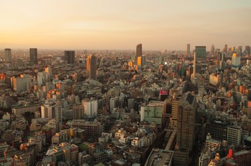 Fototapeta na wymiar 夕陽を浴びるの東京都心