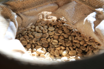 Coffee beans in a sack