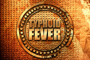 typhoid fever, 3D rendering, grunge metal stamp