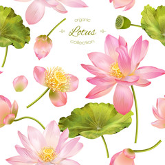 Lotus realistic illustration