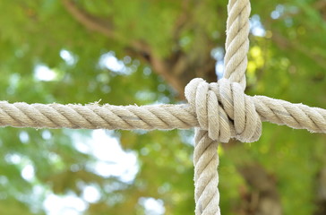 Rope knot line tied together with nature background,as a symbol for trust, teamwork or collaboration.