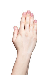 Obraz premium Female hands with woman's professional natursl pink nails manicu