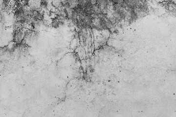 Old concrete texture background. Blank for design