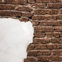 Background white wall.