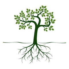 Obraz premium Green Tree and Roots. Vector Illustration.