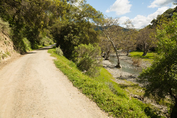 A hiking trail winds up a canyon along a creek with lush, grassy hills with oak trees and poppies