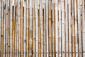 Background bamboo fence.