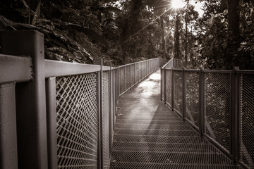 Metal footbridge, metallic walkway, steel bridge and corridor, perspective and vanishing point,  grey atmosphere with nobody