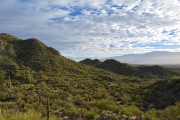 Fototapeta na wymiar Tucson Mountains