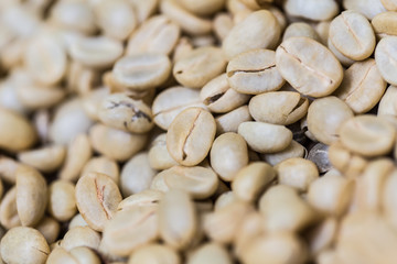unrosted or white arabica coffee bean