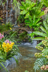 Fototapeta na wymiar home garden backyard water fall green nature zone decoration