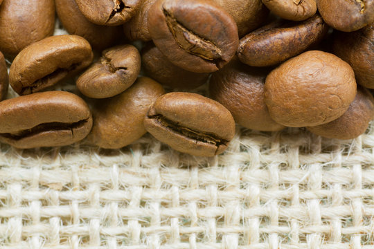 Coffee Beans with copy space