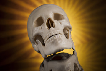 Human skull, black mirror background