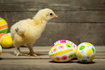 Easter eggs and chicken
