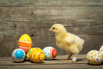Photo sur Plexiglas Poulet Easter eggs and chicken