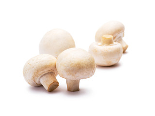 Fototapeta na wymiar Group of Five Natural Organic Champignon Mushrooms Isolated on White