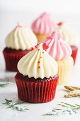 colorful cupcakes on white wooden background