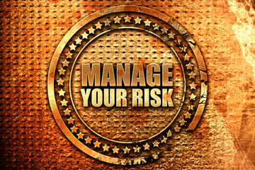 manage your risk, 3D rendering, grunge metal stamp