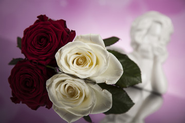 Angel, Happy Valentine's Day, mirror background