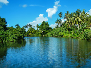 River in Bouma village on Taveuni Island, Fiji