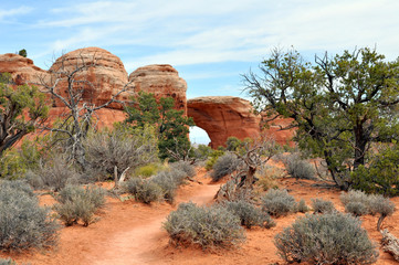 desert trail 