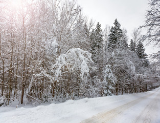 The road on the snow-covered wood, Moscow area