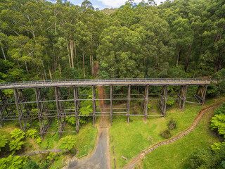 Fototapeta premium Aerial view of old trestle bridge among ferns and eucalyptuses in Victoria, Australia