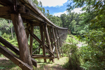 Vintage trestle bridge in Australian eucalyptus forest.