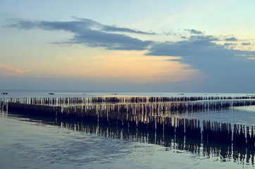 Wave barrier for conservation mangrove forest 