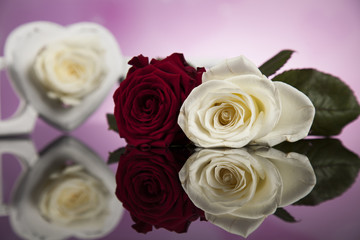 Natural background of fresh roses
