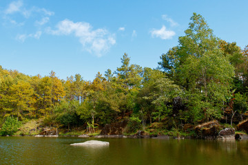 forest and lake with light sky