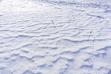Schneebedeckter Boden 
