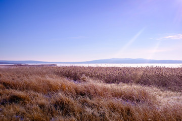 The morning cold and fresh frosty winter landscape