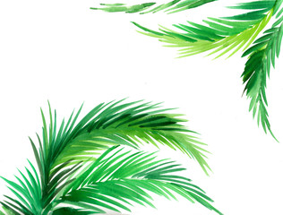 Naklejka na ściany i meble Watercolor palm trees