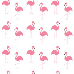Fototapeta premium Flamingo set. Seamless Pattern Exotic tropical bird. Zoo animal collection. Cute cartoon character. Decoration element. White background. Isolated. Flat design.