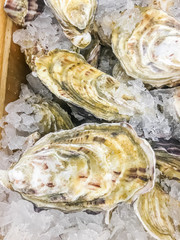 Fine De Claire fresh in ice sell on market.