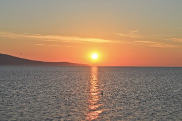 Sunrise over the ocean with beatiful gulls and seagulls