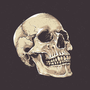 Anatomic Grunge Skull