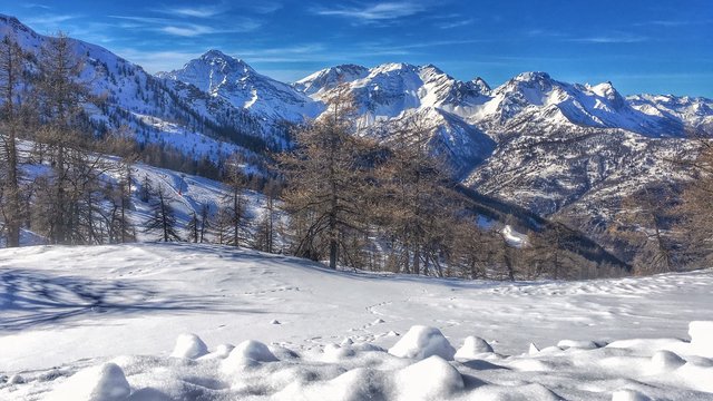 panorama innevato delle Alpi piemontesi