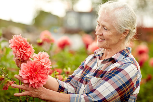 Senior Woman With Flowers At Summer Garden