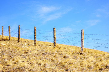 A fence of barbed wire on a background of yellow grass and blue sky