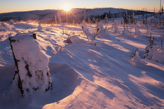 Snowstorm on top of a mountain bathed in golden morning sun, photographed backlit
