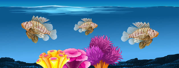 Underwater scene with lionfish © blueringmedia