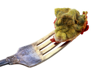 mold on a white background