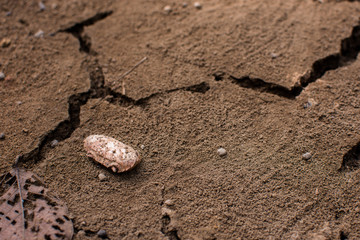 Cracked clay ground into the dry season.