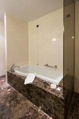 Luxury bathroom interior